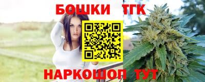 Альфа ПВП Можга