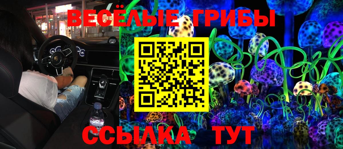 Фролово  Галлюциногенные грибы прущие грибы  Вход с VPN  Псилоцибиновые грибы Magic Shrooms 