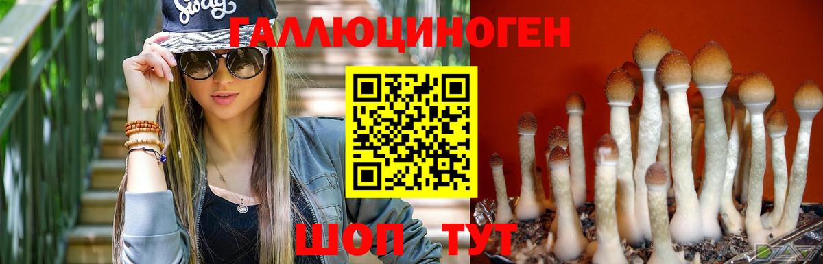 Галлюциногенные грибы мицелий Фролово
