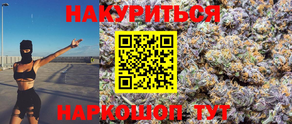 Каннабис сатива Фролово